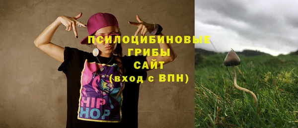 шишки Баксан