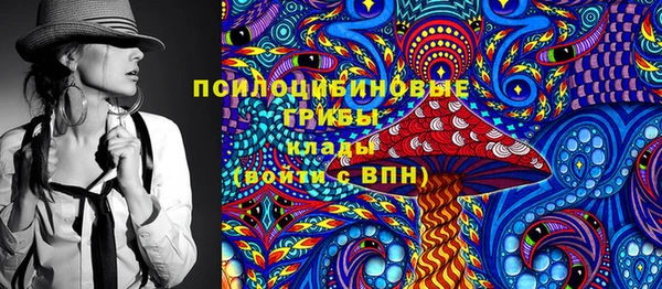 шишки Баксан
