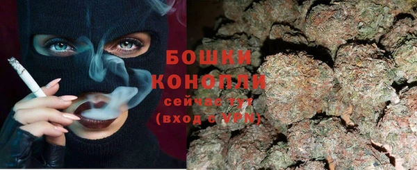 шишки Баксан