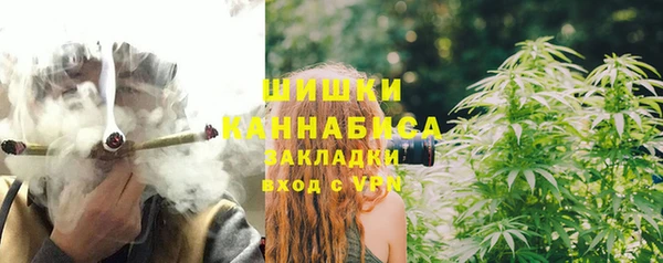 шишки Баксан