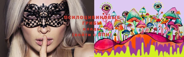 шишки Баксан