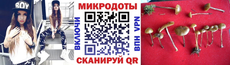 Галлюциногенные грибы Psilocybe  Красновишерск 