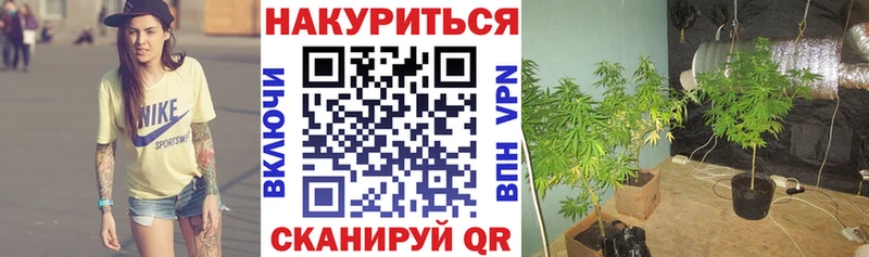 блэк спрут маркетплейс  Красновишерск  Шишки марихуана сатива 